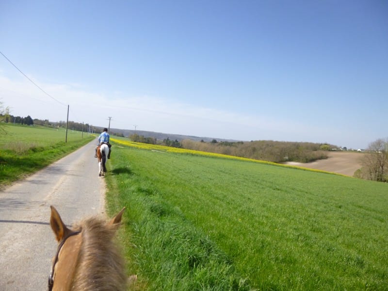 Lopen langs de weg