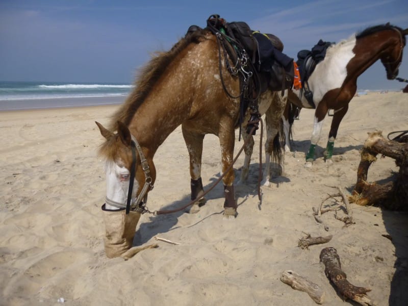 Ook aan het strand kun je je zak leegeten