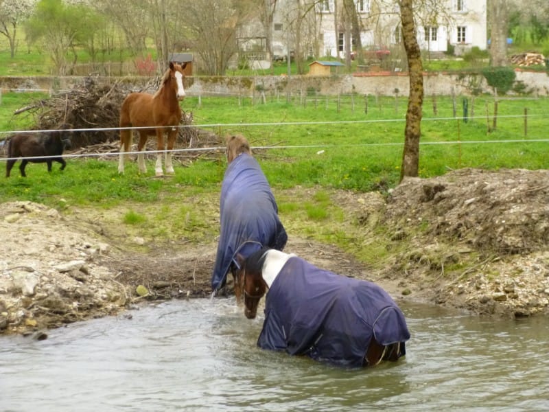 Karel doe jij die kleine maar