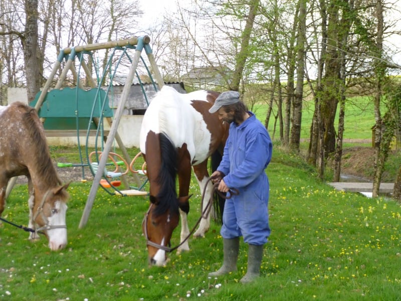 Wat een heerlijk paard!