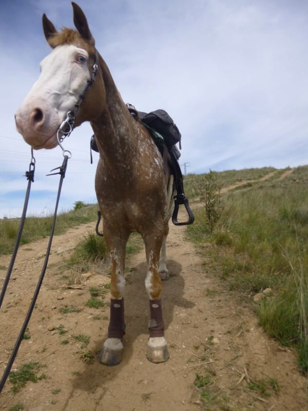 Berg af,samen wandelen