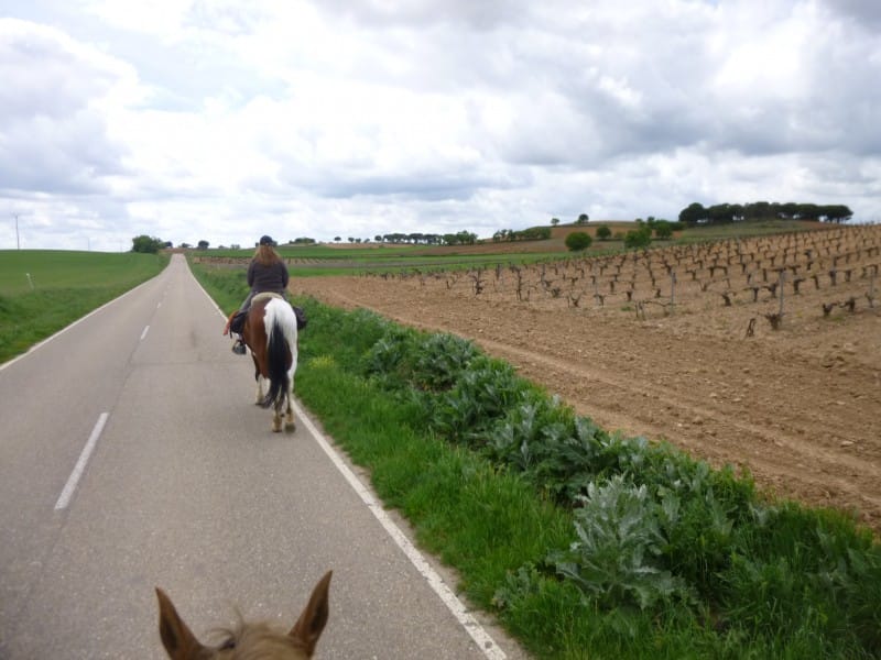 43. Maar wel langs de weg