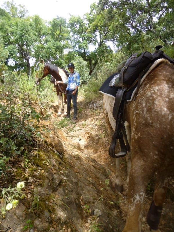 Berg af doe je lopend en gaat van je paard. Zie de ondergrond