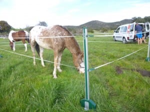 Daar sta je dan in the middle of nowhere wat te doen zonder Roflex Mobile Paddack